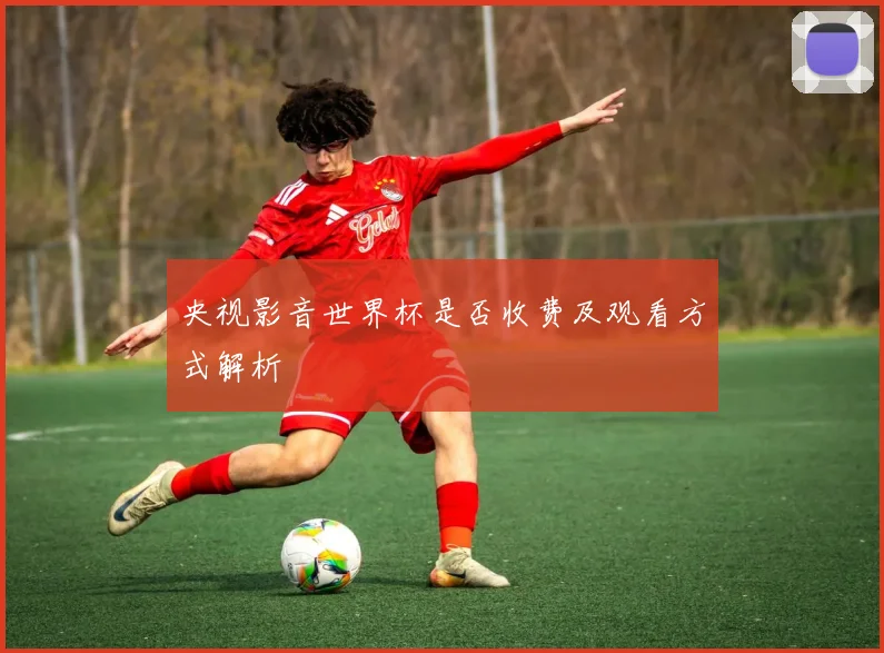 央视影音世界杯是否收费及观看方式解析