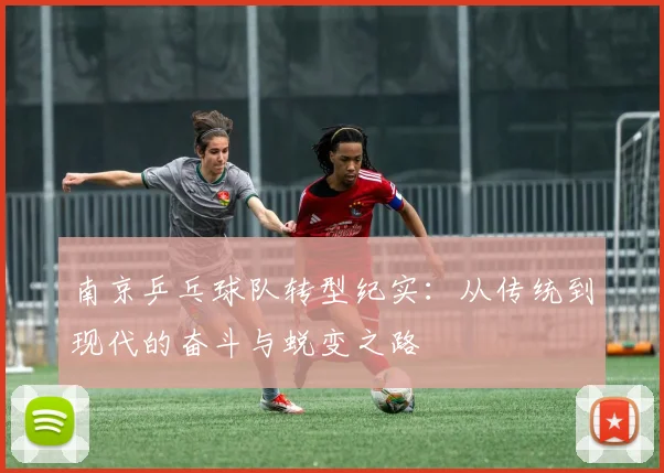 南京乒乓球队转型纪实:从传统到现代的奋斗与蜕变之路