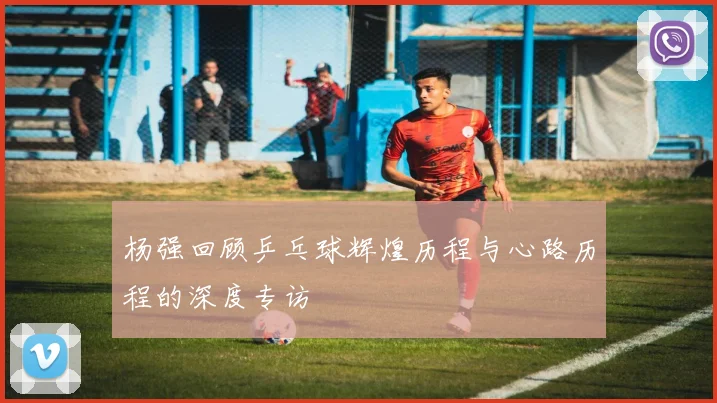 杨强回顾乒乓球辉煌历程与心路历程的深度专访