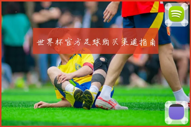 世界杯官方足球购买渠道指南