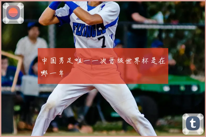 中国男足唯一一次晋级世界杯是在哪一年