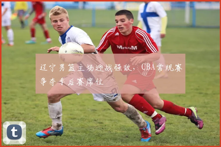 辽宁男篮主场迎战强敌，CBA常规赛争夺季后赛席位