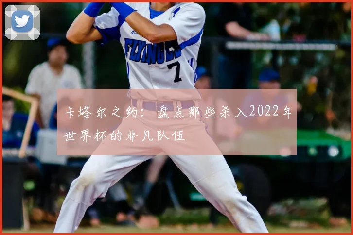 卡塔尔之约：盘点那些杀入2022年世界杯的非凡队伍