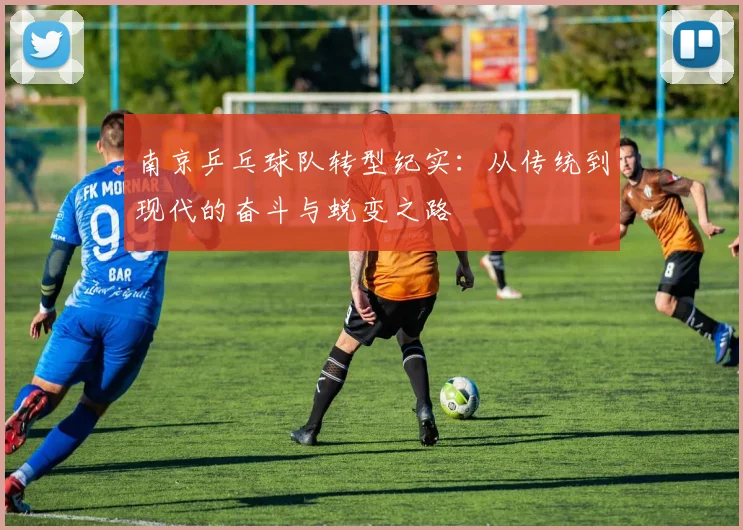 南京乒乓球队转型纪实:从传统到现代的奋斗与蜕变之路