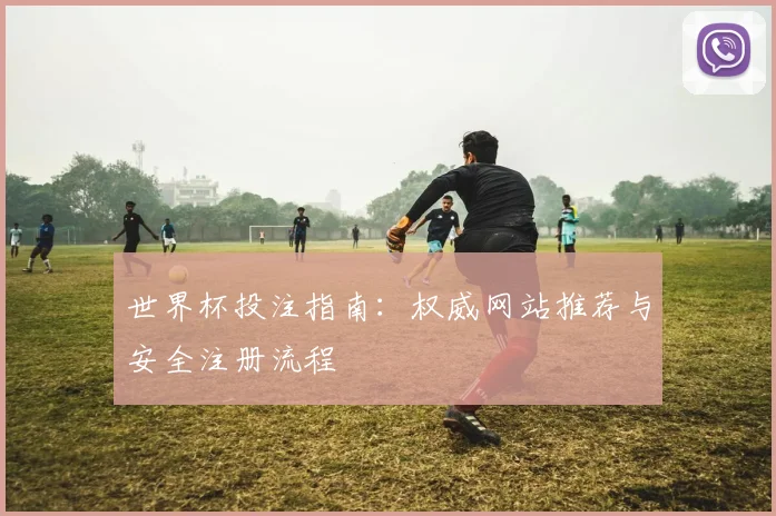 世界杯投注指南:权威网站推荐与安全注册流程