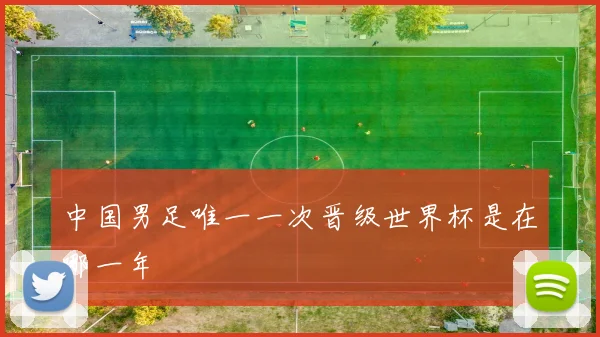 中国男足唯一一次晋级世界杯是在哪一年