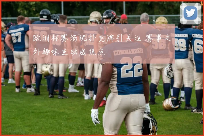 欧洲杯赛场玩扑克牌引关注 赛事之外趣味互动成焦点
